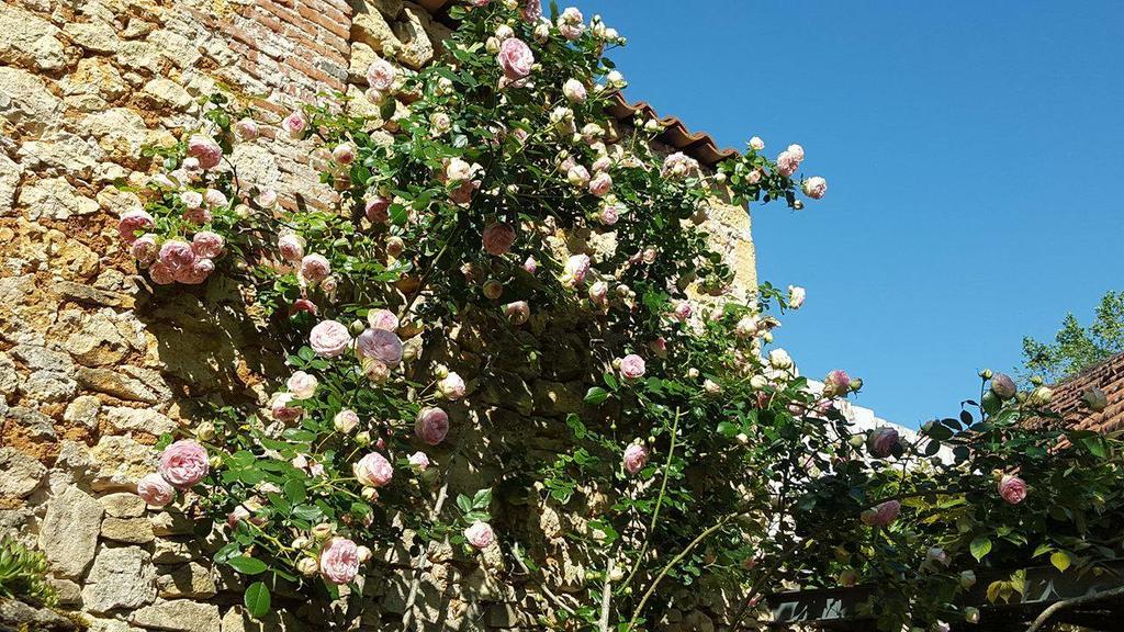 Le Clos Des Songes Saint-Leon-sur-Vezere Eksteriør billede